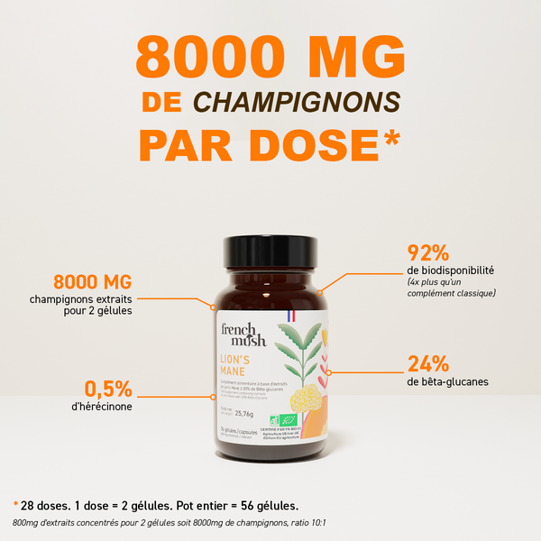 French Mush compléments alimentaires à base d'extraits de champignons médicinaux biologiques fabriqués en France - 800mg d'extraits concentrés par dose - Lion's Mane