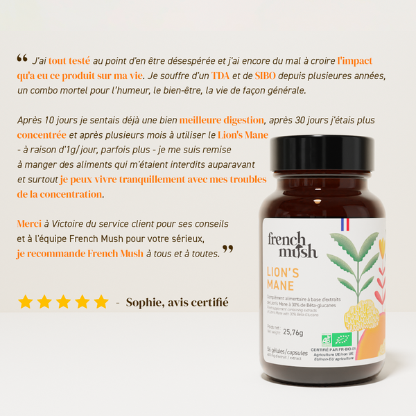 French Mush compléments alimentaires à base d'extraits de champignons médicinaux biologiques fabriqués en France - clients satisfaits avis positif - Lion's Mane