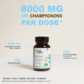 French Mush compléments alimentaires à base d'extraits de champignons médicinaux biologiques fabriqués en France - 800mg d'extraits concentrés par dose - Shiitake