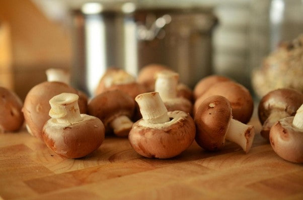 Les béta-glucanes, trésor caché des champignons médicinaux