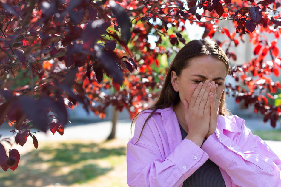 Allergies saisonnières : comment les champignons médicinaux peuvent moduler la réponse immunitaire ? - French Mush