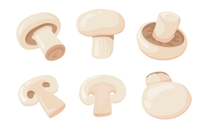 Collagène ou champignons : quels bénéfices pour la peau, les articulations et l’immunité ? - French Mush