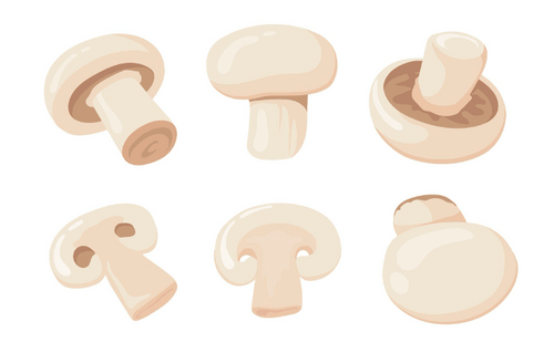 Collagène ou champignons : quels bénéfices pour la peau, les articulations et l’immunité ? - French Mush