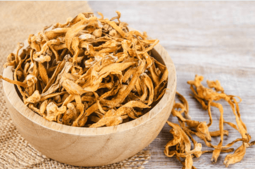 Décrypter la science derrière la cordycepine : Un composé aux multiples facettes - French Mush