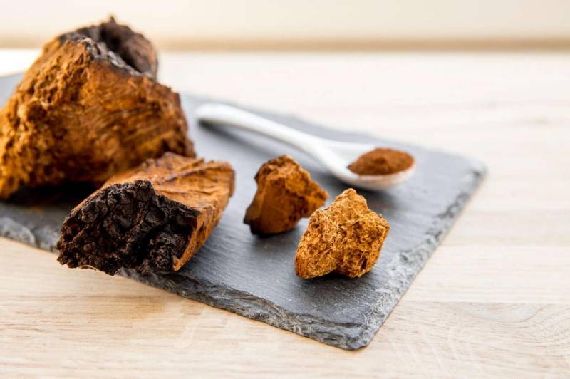 Le Chaga est-il bon pour votre peau ? - French Mush