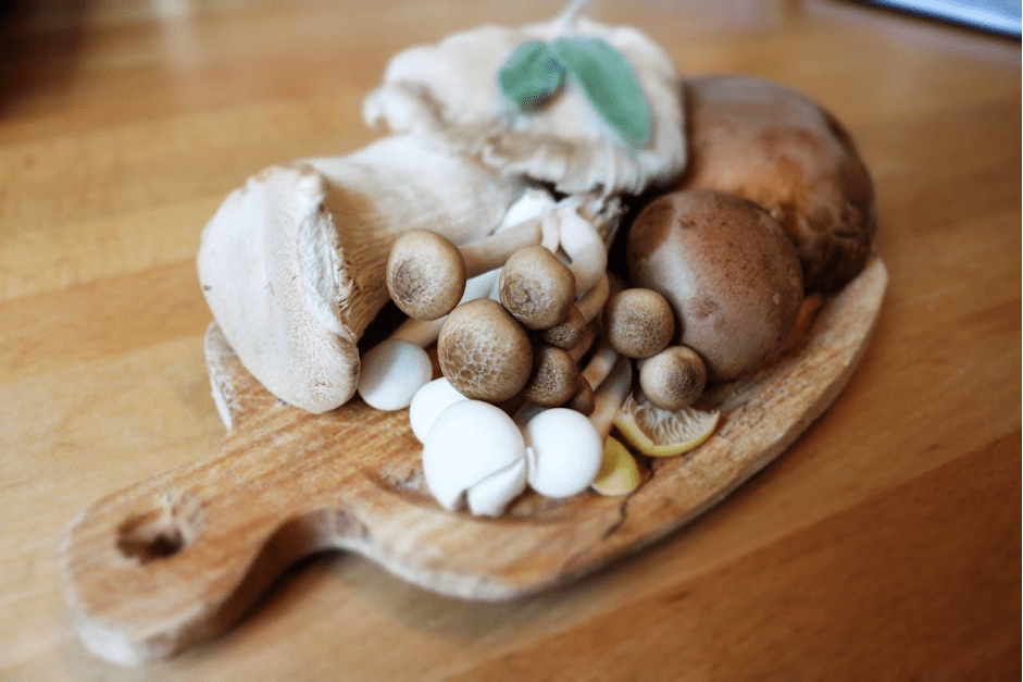 Le Shiitaké et la lentinane - un champignon au cœur des avancées anticancer - French Mush