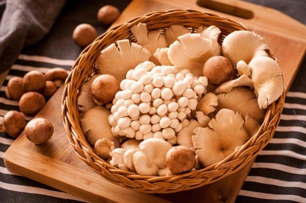 Les champignons adaptogènes : des alliés naturels pour l’équilibre hormonal - French Mush