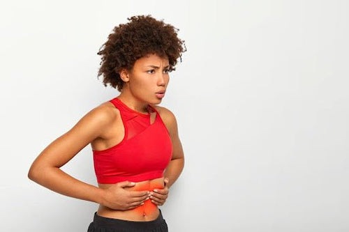 Pourquoi votre système digestif est la clé de votre vitalité (et comment les champignons l’aident) ? - French Mush