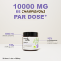 French Mush compléments alimentaires à base d'extraits de champignons médicinaux biologiques fabriqués en France - 1000mg d'extraits concentrés par dose  - Chaga