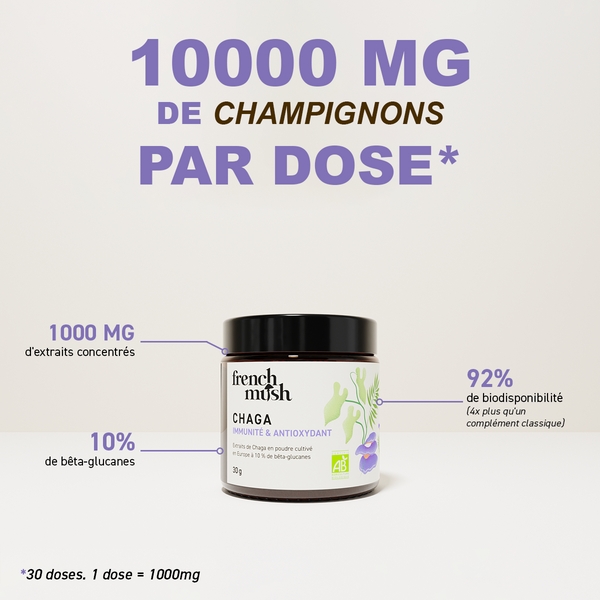 French Mush compléments alimentaires à base d'extraits de champignons médicinaux biologiques fabriqués en France - 1000mg d'extraits concentrés par dose  - Chaga