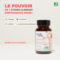 French Mush compléments alimentaires à base d'extraits de champignons médicinaux biologiques fabriqués en France - extraction aux ultrasons - Cordyceps