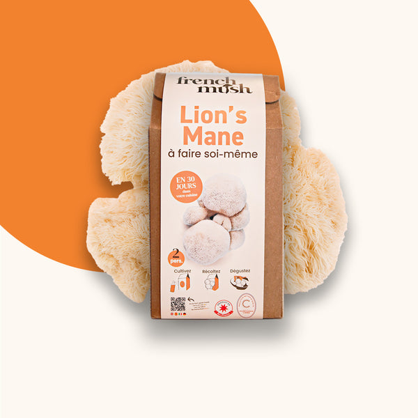 French_Mush_-_complements_alimentaires_a_base_de_champignons_bio_europeens_Lion_s_Mane_kit_DIY_lion_s_mane