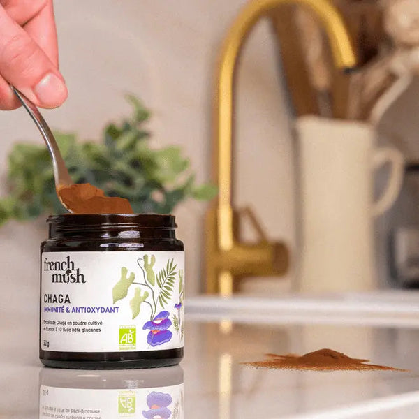 French Mush compléments alimentaires à base d'extraits de champignons médicinaux biologiques fabriqués en France Chaga Bio , votre allié beauté ! - poudre -