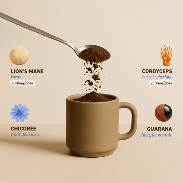 French Mush compléments alimentaires à base d'extraits de champignons médicinaux biologiques fabriqués en France Pack Summer Body VIP - VIP -