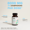 French Mush compléments alimentaires à base d'extraits de champignons médicinaux biologiques fabriqués en France Pack Summer Body Bio - -
