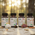French Mush compléments alimentaires à base d'extraits de champignons médicinaux biologiques fabriqués en France Le pack French Mush Gélules Bio - gélules -