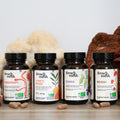pack-french-mush-poudr_e_carte_cadeau-_french_mush_-_complements_alimentaires_a_base_de_champignons_fonctionnels_bio_europeens