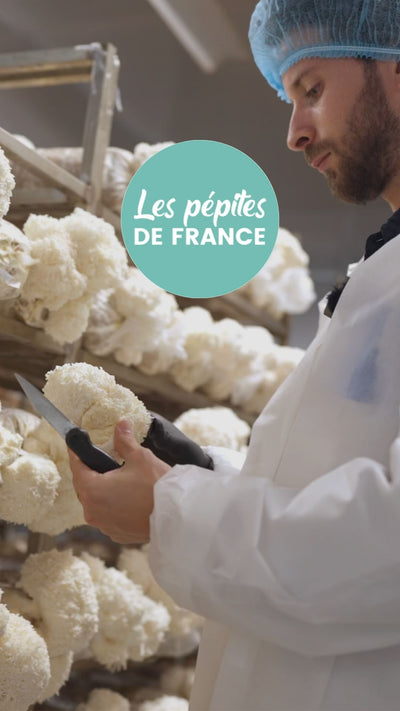 Le Lion’s Mane fabriqué en France